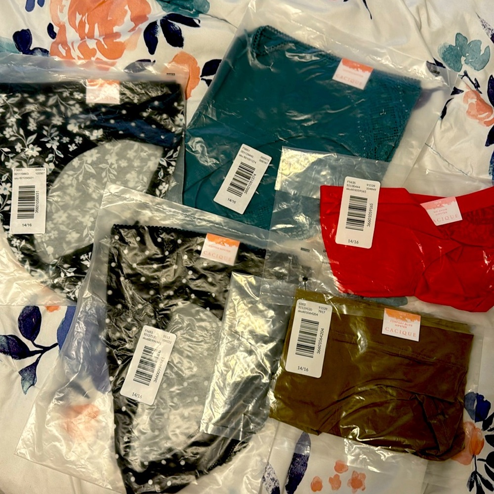 Lane Bryant Hipster Undies